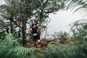 BIB: 
                            <button type="button" onclick="openModal(25327510)" class="btn btn-primary btn-sm float-right btn-popup" data-toggle="modal" data-target=".modal-high-quality">
                        <i class="fas fa-shopping-cart"></i> Add to Cart
                    </button>
                                            <button type="button" onclick="isThisMe(25327510, true)" class="btn btn-success btn-sm float-right btn-popup btn-isme hidden" data-toggle="tooltip" data-placement="bottom" title="นี่คือรูปของคุณใช่ไหม คลิกที่นี่เพื่อเอาเข้าอัลบั้ม">
                        <i class="fas fa-plus"></i> Add to album
                    </button>
                    <button type="button" onclick="isThisMe(25327510, false)" class="btn btn-warning btn-sm float-right btn-popup btn-isnotme hidden">
                        <i class="fas fa-ban"></i> Remove from album
                    </button>