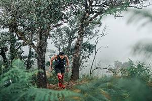 BIB: 
                            <button type="button" onclick="openModal(25326680)" class="btn btn-primary btn-sm float-right btn-popup" data-toggle="modal" data-target=".modal-high-quality">
                        <i class="fas fa-shopping-cart"></i> Add to Cart
                    </button>
                                            <button type="button" onclick="isThisMe(25326680, true)" class="btn btn-success btn-sm float-right btn-popup btn-isme hidden" data-toggle="tooltip" data-placement="bottom" title="นี่คือรูปของคุณใช่ไหม คลิกที่นี่เพื่อเอาเข้าอัลบั้ม">
                        <i class="fas fa-plus"></i> Add to album
                    </button>
                    <button type="button" onclick="isThisMe(25326680, false)" class="btn btn-warning btn-sm float-right btn-popup btn-isnotme hidden">
                        <i class="fas fa-ban"></i> Remove from album
                    </button>