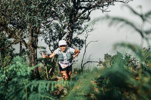 BIB: 
                            <button type="button" onclick="openModal(25326742)" class="btn btn-primary btn-sm float-right btn-popup" data-toggle="modal" data-target=".modal-high-quality">
                        <i class="fas fa-shopping-cart"></i> Add to Cart
                    </button>
                                            <button type="button" onclick="isThisMe(25326742, true)" class="btn btn-success btn-sm float-right btn-popup btn-isme hidden" data-toggle="tooltip" data-placement="bottom" title="นี่คือรูปของคุณใช่ไหม คลิกที่นี่เพื่อเอาเข้าอัลบั้ม">
                        <i class="fas fa-plus"></i> Add to album
                    </button>
                    <button type="button" onclick="isThisMe(25326742, false)" class="btn btn-warning btn-sm float-right btn-popup btn-isnotme hidden">
                        <i class="fas fa-ban"></i> Remove from album
                    </button>