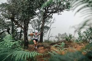 BIB: 
                            <button type="button" onclick="openModal(25327698)" class="btn btn-primary btn-sm float-right btn-popup" data-toggle="modal" data-target=".modal-high-quality">
                        <i class="fas fa-shopping-cart"></i> Add to Cart
                    </button>
                                            <button type="button" onclick="isThisMe(25327698, true)" class="btn btn-success btn-sm float-right btn-popup btn-isme hidden" data-toggle="tooltip" data-placement="bottom" title="นี่คือรูปของคุณใช่ไหม คลิกที่นี่เพื่อเอาเข้าอัลบั้ม">
                        <i class="fas fa-plus"></i> Add to album
                    </button>
                    <button type="button" onclick="isThisMe(25327698, false)" class="btn btn-warning btn-sm float-right btn-popup btn-isnotme hidden">
                        <i class="fas fa-ban"></i> Remove from album
                    </button>