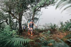 BIB: 
                            <button type="button" onclick="openModal(25327956)" class="btn btn-primary btn-sm float-right btn-popup" data-toggle="modal" data-target=".modal-high-quality">
                        <i class="fas fa-shopping-cart"></i> Add to Cart
                    </button>
                                            <button type="button" onclick="isThisMe(25327956, true)" class="btn btn-success btn-sm float-right btn-popup btn-isme hidden" data-toggle="tooltip" data-placement="bottom" title="นี่คือรูปของคุณใช่ไหม คลิกที่นี่เพื่อเอาเข้าอัลบั้ม">
                        <i class="fas fa-plus"></i> Add to album
                    </button>
                    <button type="button" onclick="isThisMe(25327956, false)" class="btn btn-warning btn-sm float-right btn-popup btn-isnotme hidden">
                        <i class="fas fa-ban"></i> Remove from album
                    </button>