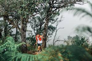 BIB: 
                            <button type="button" onclick="openModal(25326643)" class="btn btn-primary btn-sm float-right btn-popup" data-toggle="modal" data-target=".modal-high-quality">
                        <i class="fas fa-shopping-cart"></i> Add to Cart
                    </button>
                                            <button type="button" onclick="isThisMe(25326643, true)" class="btn btn-success btn-sm float-right btn-popup btn-isme hidden" data-toggle="tooltip" data-placement="bottom" title="นี่คือรูปของคุณใช่ไหม คลิกที่นี่เพื่อเอาเข้าอัลบั้ม">
                        <i class="fas fa-plus"></i> Add to album
                    </button>
                    <button type="button" onclick="isThisMe(25326643, false)" class="btn btn-warning btn-sm float-right btn-popup btn-isnotme hidden">
                        <i class="fas fa-ban"></i> Remove from album
                    </button>