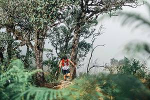 BIB: 
                            <button type="button" onclick="openModal(25326629)" class="btn btn-primary btn-sm float-right btn-popup" data-toggle="modal" data-target=".modal-high-quality">
                        <i class="fas fa-shopping-cart"></i> Add to Cart
                    </button>
                                            <button type="button" onclick="isThisMe(25326629, true)" class="btn btn-success btn-sm float-right btn-popup btn-isme hidden" data-toggle="tooltip" data-placement="bottom" title="นี่คือรูปของคุณใช่ไหม คลิกที่นี่เพื่อเอาเข้าอัลบั้ม">
                        <i class="fas fa-plus"></i> Add to album
                    </button>
                    <button type="button" onclick="isThisMe(25326629, false)" class="btn btn-warning btn-sm float-right btn-popup btn-isnotme hidden">
                        <i class="fas fa-ban"></i> Remove from album
                    </button>