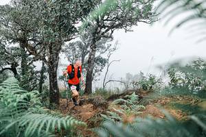 BIB: 
                            <button type="button" onclick="openModal(25327280)" class="btn btn-primary btn-sm float-right btn-popup" data-toggle="modal" data-target=".modal-high-quality">
                        <i class="fas fa-shopping-cart"></i> Add to Cart
                    </button>
                                            <button type="button" onclick="isThisMe(25327280, true)" class="btn btn-success btn-sm float-right btn-popup btn-isme hidden" data-toggle="tooltip" data-placement="bottom" title="นี่คือรูปของคุณใช่ไหม คลิกที่นี่เพื่อเอาเข้าอัลบั้ม">
                        <i class="fas fa-plus"></i> Add to album
                    </button>
                    <button type="button" onclick="isThisMe(25327280, false)" class="btn btn-warning btn-sm float-right btn-popup btn-isnotme hidden">
                        <i class="fas fa-ban"></i> Remove from album
                    </button>