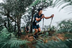 BIB: 
                            <button type="button" onclick="openModal(25327240)" class="btn btn-primary btn-sm float-right btn-popup" data-toggle="modal" data-target=".modal-high-quality">
                        <i class="fas fa-shopping-cart"></i> Add to Cart
                    </button>
                                            <button type="button" onclick="isThisMe(25327240, true)" class="btn btn-success btn-sm float-right btn-popup btn-isme hidden" data-toggle="tooltip" data-placement="bottom" title="นี่คือรูปของคุณใช่ไหม คลิกที่นี่เพื่อเอาเข้าอัลบั้ม">
                        <i class="fas fa-plus"></i> Add to album
                    </button>
                    <button type="button" onclick="isThisMe(25327240, false)" class="btn btn-warning btn-sm float-right btn-popup btn-isnotme hidden">
                        <i class="fas fa-ban"></i> Remove from album
                    </button>