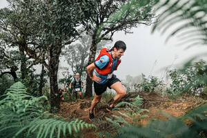 BIB: 
                            <button type="button" onclick="openModal(25327729)" class="btn btn-primary btn-sm float-right btn-popup" data-toggle="modal" data-target=".modal-high-quality">
                        <i class="fas fa-shopping-cart"></i> Add to Cart
                    </button>
                                            <button type="button" onclick="isThisMe(25327729, true)" class="btn btn-success btn-sm float-right btn-popup btn-isme hidden" data-toggle="tooltip" data-placement="bottom" title="นี่คือรูปของคุณใช่ไหม คลิกที่นี่เพื่อเอาเข้าอัลบั้ม">
                        <i class="fas fa-plus"></i> Add to album
                    </button>
                    <button type="button" onclick="isThisMe(25327729, false)" class="btn btn-warning btn-sm float-right btn-popup btn-isnotme hidden">
                        <i class="fas fa-ban"></i> Remove from album
                    </button>