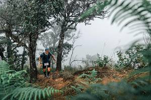 BIB: 
                            <button type="button" onclick="openModal(25327356)" class="btn btn-primary btn-sm float-right btn-popup" data-toggle="modal" data-target=".modal-high-quality">
                        <i class="fas fa-shopping-cart"></i> Add to Cart
                    </button>
                                            <button type="button" onclick="isThisMe(25327356, true)" class="btn btn-success btn-sm float-right btn-popup btn-isme hidden" data-toggle="tooltip" data-placement="bottom" title="นี่คือรูปของคุณใช่ไหม คลิกที่นี่เพื่อเอาเข้าอัลบั้ม">
                        <i class="fas fa-plus"></i> Add to album
                    </button>
                    <button type="button" onclick="isThisMe(25327356, false)" class="btn btn-warning btn-sm float-right btn-popup btn-isnotme hidden">
                        <i class="fas fa-ban"></i> Remove from album
                    </button>