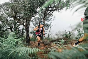 BIB: 
                            <button type="button" onclick="openModal(25327859)" class="btn btn-primary btn-sm float-right btn-popup" data-toggle="modal" data-target=".modal-high-quality">
                        <i class="fas fa-shopping-cart"></i> Add to Cart
                    </button>
                                            <button type="button" onclick="isThisMe(25327859, true)" class="btn btn-success btn-sm float-right btn-popup btn-isme hidden" data-toggle="tooltip" data-placement="bottom" title="นี่คือรูปของคุณใช่ไหม คลิกที่นี่เพื่อเอาเข้าอัลบั้ม">
                        <i class="fas fa-plus"></i> Add to album
                    </button>
                    <button type="button" onclick="isThisMe(25327859, false)" class="btn btn-warning btn-sm float-right btn-popup btn-isnotme hidden">
                        <i class="fas fa-ban"></i> Remove from album
                    </button>