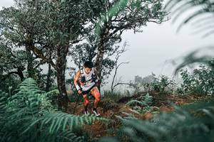 BIB: 
                            <button type="button" onclick="openModal(25328191)" class="btn btn-primary btn-sm float-right btn-popup" data-toggle="modal" data-target=".modal-high-quality">
                        <i class="fas fa-shopping-cart"></i> Add to Cart
                    </button>
                                            <button type="button" onclick="isThisMe(25328191, true)" class="btn btn-success btn-sm float-right btn-popup btn-isme hidden" data-toggle="tooltip" data-placement="bottom" title="นี่คือรูปของคุณใช่ไหม คลิกที่นี่เพื่อเอาเข้าอัลบั้ม">
                        <i class="fas fa-plus"></i> Add to album
                    </button>
                    <button type="button" onclick="isThisMe(25328191, false)" class="btn btn-warning btn-sm float-right btn-popup btn-isnotme hidden">
                        <i class="fas fa-ban"></i> Remove from album
                    </button>