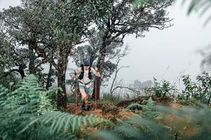 BIB: 
                            <button type="button" onclick="openModal(25326363)" class="btn btn-primary btn-sm float-right btn-popup" data-toggle="modal" data-target=".modal-high-quality">
                        <i class="fas fa-shopping-cart"></i> Add to Cart
                    </button>
                                            <button type="button" onclick="isThisMe(25326363, true)" class="btn btn-success btn-sm float-right btn-popup btn-isme hidden" data-toggle="tooltip" data-placement="bottom" title="นี่คือรูปของคุณใช่ไหม คลิกที่นี่เพื่อเอาเข้าอัลบั้ม">
                        <i class="fas fa-plus"></i> Add to album
                    </button>
                    <button type="button" onclick="isThisMe(25326363, false)" class="btn btn-warning btn-sm float-right btn-popup btn-isnotme hidden">
                        <i class="fas fa-ban"></i> Remove from album
                    </button>