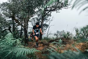 BIB: 
                            <button type="button" onclick="openModal(25327228)" class="btn btn-primary btn-sm float-right btn-popup" data-toggle="modal" data-target=".modal-high-quality">
                        <i class="fas fa-shopping-cart"></i> Add to Cart
                    </button>
                                            <button type="button" onclick="isThisMe(25327228, true)" class="btn btn-success btn-sm float-right btn-popup btn-isme hidden" data-toggle="tooltip" data-placement="bottom" title="นี่คือรูปของคุณใช่ไหม คลิกที่นี่เพื่อเอาเข้าอัลบั้ม">
                        <i class="fas fa-plus"></i> Add to album
                    </button>
                    <button type="button" onclick="isThisMe(25327228, false)" class="btn btn-warning btn-sm float-right btn-popup btn-isnotme hidden">
                        <i class="fas fa-ban"></i> Remove from album
                    </button>