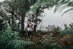 BIB: 
                            <button type="button" onclick="openModal(25328013)" class="btn btn-primary btn-sm float-right btn-popup" data-toggle="modal" data-target=".modal-high-quality">
                        <i class="fas fa-shopping-cart"></i> Add to Cart
                    </button>
                                            <button type="button" onclick="isThisMe(25328013, true)" class="btn btn-success btn-sm float-right btn-popup btn-isme hidden" data-toggle="tooltip" data-placement="bottom" title="นี่คือรูปของคุณใช่ไหม คลิกที่นี่เพื่อเอาเข้าอัลบั้ม">
                        <i class="fas fa-plus"></i> Add to album
                    </button>
                    <button type="button" onclick="isThisMe(25328013, false)" class="btn btn-warning btn-sm float-right btn-popup btn-isnotme hidden">
                        <i class="fas fa-ban"></i> Remove from album
                    </button>