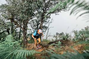 BIB: 
                            <button type="button" onclick="openModal(25326150)" class="btn btn-primary btn-sm float-right btn-popup" data-toggle="modal" data-target=".modal-high-quality">
                        <i class="fas fa-shopping-cart"></i> Add to Cart
                    </button>
                                            <button type="button" onclick="isThisMe(25326150, true)" class="btn btn-success btn-sm float-right btn-popup btn-isme hidden" data-toggle="tooltip" data-placement="bottom" title="นี่คือรูปของคุณใช่ไหม คลิกที่นี่เพื่อเอาเข้าอัลบั้ม">
                        <i class="fas fa-plus"></i> Add to album
                    </button>
                    <button type="button" onclick="isThisMe(25326150, false)" class="btn btn-warning btn-sm float-right btn-popup btn-isnotme hidden">
                        <i class="fas fa-ban"></i> Remove from album
                    </button>