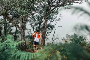 BIB: 
                            <button type="button" onclick="openModal(25326645)" class="btn btn-primary btn-sm float-right btn-popup" data-toggle="modal" data-target=".modal-high-quality">
                        <i class="fas fa-shopping-cart"></i> Add to Cart
                    </button>
                                            <button type="button" onclick="isThisMe(25326645, true)" class="btn btn-success btn-sm float-right btn-popup btn-isme hidden" data-toggle="tooltip" data-placement="bottom" title="นี่คือรูปของคุณใช่ไหม คลิกที่นี่เพื่อเอาเข้าอัลบั้ม">
                        <i class="fas fa-plus"></i> Add to album
                    </button>
                    <button type="button" onclick="isThisMe(25326645, false)" class="btn btn-warning btn-sm float-right btn-popup btn-isnotme hidden">
                        <i class="fas fa-ban"></i> Remove from album
                    </button>