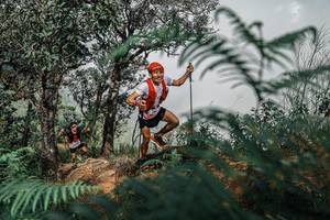 BIB: 
                            <button type="button" onclick="openModal(25326276)" class="btn btn-primary btn-sm float-right btn-popup" data-toggle="modal" data-target=".modal-high-quality">
                        <i class="fas fa-shopping-cart"></i> Add to Cart
                    </button>
                                            <button type="button" onclick="isThisMe(25326276, true)" class="btn btn-success btn-sm float-right btn-popup btn-isme hidden" data-toggle="tooltip" data-placement="bottom" title="นี่คือรูปของคุณใช่ไหม คลิกที่นี่เพื่อเอาเข้าอัลบั้ม">
                        <i class="fas fa-plus"></i> Add to album
                    </button>
                    <button type="button" onclick="isThisMe(25326276, false)" class="btn btn-warning btn-sm float-right btn-popup btn-isnotme hidden">
                        <i class="fas fa-ban"></i> Remove from album
                    </button>