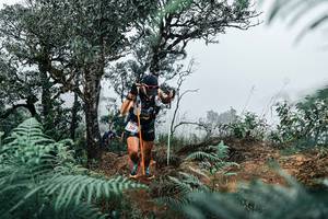 BIB: 
                            <button type="button" onclick="openModal(25327236)" class="btn btn-primary btn-sm float-right btn-popup" data-toggle="modal" data-target=".modal-high-quality">
                        <i class="fas fa-shopping-cart"></i> Add to Cart
                    </button>
                                            <button type="button" onclick="isThisMe(25327236, true)" class="btn btn-success btn-sm float-right btn-popup btn-isme hidden" data-toggle="tooltip" data-placement="bottom" title="นี่คือรูปของคุณใช่ไหม คลิกที่นี่เพื่อเอาเข้าอัลบั้ม">
                        <i class="fas fa-plus"></i> Add to album
                    </button>
                    <button type="button" onclick="isThisMe(25327236, false)" class="btn btn-warning btn-sm float-right btn-popup btn-isnotme hidden">
                        <i class="fas fa-ban"></i> Remove from album
                    </button>