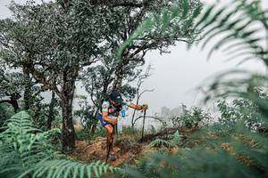 BIB: 
                            <button type="button" onclick="openModal(25326510)" class="btn btn-primary btn-sm float-right btn-popup" data-toggle="modal" data-target=".modal-high-quality">
                        <i class="fas fa-shopping-cart"></i> Add to Cart
                    </button>
                                            <button type="button" onclick="isThisMe(25326510, true)" class="btn btn-success btn-sm float-right btn-popup btn-isme hidden" data-toggle="tooltip" data-placement="bottom" title="นี่คือรูปของคุณใช่ไหม คลิกที่นี่เพื่อเอาเข้าอัลบั้ม">
                        <i class="fas fa-plus"></i> Add to album
                    </button>
                    <button type="button" onclick="isThisMe(25326510, false)" class="btn btn-warning btn-sm float-right btn-popup btn-isnotme hidden">
                        <i class="fas fa-ban"></i> Remove from album
                    </button>