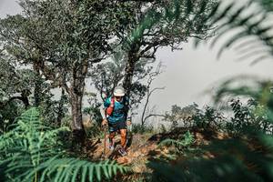 BIB: 
                            <button type="button" onclick="openModal(25326394)" class="btn btn-primary btn-sm float-right btn-popup" data-toggle="modal" data-target=".modal-high-quality">
                        <i class="fas fa-shopping-cart"></i> Add to Cart
                    </button>
                                            <button type="button" onclick="isThisMe(25326394, true)" class="btn btn-success btn-sm float-right btn-popup btn-isme hidden" data-toggle="tooltip" data-placement="bottom" title="นี่คือรูปของคุณใช่ไหม คลิกที่นี่เพื่อเอาเข้าอัลบั้ม">
                        <i class="fas fa-plus"></i> Add to album
                    </button>
                    <button type="button" onclick="isThisMe(25326394, false)" class="btn btn-warning btn-sm float-right btn-popup btn-isnotme hidden">
                        <i class="fas fa-ban"></i> Remove from album
                    </button>