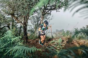 BIB: 
                            <button type="button" onclick="openModal(25328053)" class="btn btn-primary btn-sm float-right btn-popup" data-toggle="modal" data-target=".modal-high-quality">
                        <i class="fas fa-shopping-cart"></i> Add to Cart
                    </button>
                                            <button type="button" onclick="isThisMe(25328053, true)" class="btn btn-success btn-sm float-right btn-popup btn-isme hidden" data-toggle="tooltip" data-placement="bottom" title="นี่คือรูปของคุณใช่ไหม คลิกที่นี่เพื่อเอาเข้าอัลบั้ม">
                        <i class="fas fa-plus"></i> Add to album
                    </button>
                    <button type="button" onclick="isThisMe(25328053, false)" class="btn btn-warning btn-sm float-right btn-popup btn-isnotme hidden">
                        <i class="fas fa-ban"></i> Remove from album
                    </button>