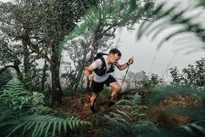 BIB: 
                            <button type="button" onclick="openModal(25328036)" class="btn btn-primary btn-sm float-right btn-popup" data-toggle="modal" data-target=".modal-high-quality">
                        <i class="fas fa-shopping-cart"></i> Add to Cart
                    </button>
                                            <button type="button" onclick="isThisMe(25328036, true)" class="btn btn-success btn-sm float-right btn-popup btn-isme hidden" data-toggle="tooltip" data-placement="bottom" title="นี่คือรูปของคุณใช่ไหม คลิกที่นี่เพื่อเอาเข้าอัลบั้ม">
                        <i class="fas fa-plus"></i> Add to album
                    </button>
                    <button type="button" onclick="isThisMe(25328036, false)" class="btn btn-warning btn-sm float-right btn-popup btn-isnotme hidden">
                        <i class="fas fa-ban"></i> Remove from album
                    </button>