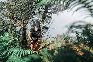 BIB: 
                            <button type="button" onclick="openModal(25327395)" class="btn btn-primary btn-sm float-right btn-popup" data-toggle="modal" data-target=".modal-high-quality">
                        <i class="fas fa-shopping-cart"></i> Add to Cart
                    </button>
                                            <button type="button" onclick="isThisMe(25327395, true)" class="btn btn-success btn-sm float-right btn-popup btn-isme hidden" data-toggle="tooltip" data-placement="bottom" title="นี่คือรูปของคุณใช่ไหม คลิกที่นี่เพื่อเอาเข้าอัลบั้ม">
                        <i class="fas fa-plus"></i> Add to album
                    </button>
                    <button type="button" onclick="isThisMe(25327395, false)" class="btn btn-warning btn-sm float-right btn-popup btn-isnotme hidden">
                        <i class="fas fa-ban"></i> Remove from album
                    </button>