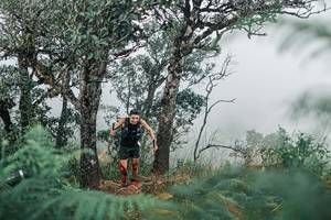 BIB: 
                            <button type="button" onclick="openModal(25326678)" class="btn btn-primary btn-sm float-right btn-popup" data-toggle="modal" data-target=".modal-high-quality">
                        <i class="fas fa-shopping-cart"></i> Add to Cart
                    </button>
                                            <button type="button" onclick="isThisMe(25326678, true)" class="btn btn-success btn-sm float-right btn-popup btn-isme hidden" data-toggle="tooltip" data-placement="bottom" title="นี่คือรูปของคุณใช่ไหม คลิกที่นี่เพื่อเอาเข้าอัลบั้ม">
                        <i class="fas fa-plus"></i> Add to album
                    </button>
                    <button type="button" onclick="isThisMe(25326678, false)" class="btn btn-warning btn-sm float-right btn-popup btn-isnotme hidden">
                        <i class="fas fa-ban"></i> Remove from album
                    </button>