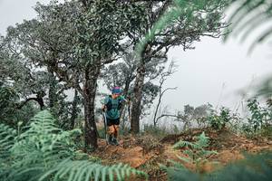 BIB: 
                            <button type="button" onclick="openModal(25326418)" class="btn btn-primary btn-sm float-right btn-popup" data-toggle="modal" data-target=".modal-high-quality">
                        <i class="fas fa-shopping-cart"></i> Add to Cart
                    </button>
                                            <button type="button" onclick="isThisMe(25326418, true)" class="btn btn-success btn-sm float-right btn-popup btn-isme hidden" data-toggle="tooltip" data-placement="bottom" title="นี่คือรูปของคุณใช่ไหม คลิกที่นี่เพื่อเอาเข้าอัลบั้ม">
                        <i class="fas fa-plus"></i> Add to album
                    </button>
                    <button type="button" onclick="isThisMe(25326418, false)" class="btn btn-warning btn-sm float-right btn-popup btn-isnotme hidden">
                        <i class="fas fa-ban"></i> Remove from album
                    </button>