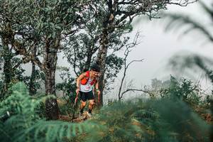 BIB: 
                            <button type="button" onclick="openModal(25326655)" class="btn btn-primary btn-sm float-right btn-popup" data-toggle="modal" data-target=".modal-high-quality">
                        <i class="fas fa-shopping-cart"></i> Add to Cart
                    </button>
                                            <button type="button" onclick="isThisMe(25326655, true)" class="btn btn-success btn-sm float-right btn-popup btn-isme hidden" data-toggle="tooltip" data-placement="bottom" title="นี่คือรูปของคุณใช่ไหม คลิกที่นี่เพื่อเอาเข้าอัลบั้ม">
                        <i class="fas fa-plus"></i> Add to album
                    </button>
                    <button type="button" onclick="isThisMe(25326655, false)" class="btn btn-warning btn-sm float-right btn-popup btn-isnotme hidden">
                        <i class="fas fa-ban"></i> Remove from album
                    </button>