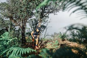 BIB: 
                            <button type="button" onclick="openModal(25327375)" class="btn btn-primary btn-sm float-right btn-popup" data-toggle="modal" data-target=".modal-high-quality">
                        <i class="fas fa-shopping-cart"></i> Add to Cart
                    </button>
                                            <button type="button" onclick="isThisMe(25327375, true)" class="btn btn-success btn-sm float-right btn-popup btn-isme hidden" data-toggle="tooltip" data-placement="bottom" title="นี่คือรูปของคุณใช่ไหม คลิกที่นี่เพื่อเอาเข้าอัลบั้ม">
                        <i class="fas fa-plus"></i> Add to album
                    </button>
                    <button type="button" onclick="isThisMe(25327375, false)" class="btn btn-warning btn-sm float-right btn-popup btn-isnotme hidden">
                        <i class="fas fa-ban"></i> Remove from album
                    </button>