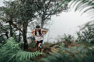 BIB: 
                            <button type="button" onclick="openModal(25327569)" class="btn btn-primary btn-sm float-right btn-popup" data-toggle="modal" data-target=".modal-high-quality">
                        <i class="fas fa-shopping-cart"></i> Add to Cart
                    </button>
                                            <button type="button" onclick="isThisMe(25327569, true)" class="btn btn-success btn-sm float-right btn-popup btn-isme hidden" data-toggle="tooltip" data-placement="bottom" title="นี่คือรูปของคุณใช่ไหม คลิกที่นี่เพื่อเอาเข้าอัลบั้ม">
                        <i class="fas fa-plus"></i> Add to album
                    </button>
                    <button type="button" onclick="isThisMe(25327569, false)" class="btn btn-warning btn-sm float-right btn-popup btn-isnotme hidden">
                        <i class="fas fa-ban"></i> Remove from album
                    </button>