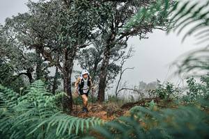 BIB: 
                            <button type="button" onclick="openModal(25326476)" class="btn btn-primary btn-sm float-right btn-popup" data-toggle="modal" data-target=".modal-high-quality">
                        <i class="fas fa-shopping-cart"></i> Add to Cart
                    </button>
                                            <button type="button" onclick="isThisMe(25326476, true)" class="btn btn-success btn-sm float-right btn-popup btn-isme hidden" data-toggle="tooltip" data-placement="bottom" title="นี่คือรูปของคุณใช่ไหม คลิกที่นี่เพื่อเอาเข้าอัลบั้ม">
                        <i class="fas fa-plus"></i> Add to album
                    </button>
                    <button type="button" onclick="isThisMe(25326476, false)" class="btn btn-warning btn-sm float-right btn-popup btn-isnotme hidden">
                        <i class="fas fa-ban"></i> Remove from album
                    </button>