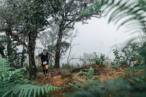 BIB: 
                            <button type="button" onclick="openModal(25327358)" class="btn btn-primary btn-sm float-right btn-popup" data-toggle="modal" data-target=".modal-high-quality">
                        <i class="fas fa-shopping-cart"></i> Add to Cart
                    </button>
                                            <button type="button" onclick="isThisMe(25327358, true)" class="btn btn-success btn-sm float-right btn-popup btn-isme hidden" data-toggle="tooltip" data-placement="bottom" title="นี่คือรูปของคุณใช่ไหม คลิกที่นี่เพื่อเอาเข้าอัลบั้ม">
                        <i class="fas fa-plus"></i> Add to album
                    </button>
                    <button type="button" onclick="isThisMe(25327358, false)" class="btn btn-warning btn-sm float-right btn-popup btn-isnotme hidden">
                        <i class="fas fa-ban"></i> Remove from album
                    </button>