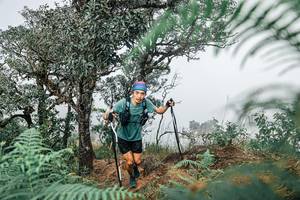 BIB: 
                            <button type="button" onclick="openModal(25326434)" class="btn btn-primary btn-sm float-right btn-popup" data-toggle="modal" data-target=".modal-high-quality">
                        <i class="fas fa-shopping-cart"></i> Add to Cart
                    </button>
                                            <button type="button" onclick="isThisMe(25326434, true)" class="btn btn-success btn-sm float-right btn-popup btn-isme hidden" data-toggle="tooltip" data-placement="bottom" title="นี่คือรูปของคุณใช่ไหม คลิกที่นี่เพื่อเอาเข้าอัลบั้ม">
                        <i class="fas fa-plus"></i> Add to album
                    </button>
                    <button type="button" onclick="isThisMe(25326434, false)" class="btn btn-warning btn-sm float-right btn-popup btn-isnotme hidden">
                        <i class="fas fa-ban"></i> Remove from album
                    </button>