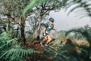 BIB: 
                            <button type="button" onclick="openModal(25328062)" class="btn btn-primary btn-sm float-right btn-popup" data-toggle="modal" data-target=".modal-high-quality">
                        <i class="fas fa-shopping-cart"></i> Add to Cart
                    </button>
                                            <button type="button" onclick="isThisMe(25328062, true)" class="btn btn-success btn-sm float-right btn-popup btn-isme hidden" data-toggle="tooltip" data-placement="bottom" title="นี่คือรูปของคุณใช่ไหม คลิกที่นี่เพื่อเอาเข้าอัลบั้ม">
                        <i class="fas fa-plus"></i> Add to album
                    </button>
                    <button type="button" onclick="isThisMe(25328062, false)" class="btn btn-warning btn-sm float-right btn-popup btn-isnotme hidden">
                        <i class="fas fa-ban"></i> Remove from album
                    </button>