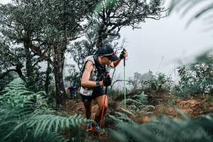 BIB: 
                            <button type="button" onclick="openModal(25327247)" class="btn btn-primary btn-sm float-right btn-popup" data-toggle="modal" data-target=".modal-high-quality">
                        <i class="fas fa-shopping-cart"></i> Add to Cart
                    </button>
                                            <button type="button" onclick="isThisMe(25327247, true)" class="btn btn-success btn-sm float-right btn-popup btn-isme hidden" data-toggle="tooltip" data-placement="bottom" title="นี่คือรูปของคุณใช่ไหม คลิกที่นี่เพื่อเอาเข้าอัลบั้ม">
                        <i class="fas fa-plus"></i> Add to album
                    </button>
                    <button type="button" onclick="isThisMe(25327247, false)" class="btn btn-warning btn-sm float-right btn-popup btn-isnotme hidden">
                        <i class="fas fa-ban"></i> Remove from album
                    </button>