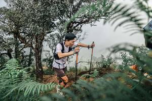 BIB: 
                            <button type="button" onclick="openModal(25326237)" class="btn btn-primary btn-sm float-right btn-popup" data-toggle="modal" data-target=".modal-high-quality">
                        <i class="fas fa-shopping-cart"></i> Add to Cart
                    </button>
                                            <button type="button" onclick="isThisMe(25326237, true)" class="btn btn-success btn-sm float-right btn-popup btn-isme hidden" data-toggle="tooltip" data-placement="bottom" title="นี่คือรูปของคุณใช่ไหม คลิกที่นี่เพื่อเอาเข้าอัลบั้ม">
                        <i class="fas fa-plus"></i> Add to album
                    </button>
                    <button type="button" onclick="isThisMe(25326237, false)" class="btn btn-warning btn-sm float-right btn-popup btn-isnotme hidden">
                        <i class="fas fa-ban"></i> Remove from album
                    </button>