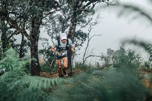 BIB: 
                            <button type="button" onclick="openModal(25326791)" class="btn btn-primary btn-sm float-right btn-popup" data-toggle="modal" data-target=".modal-high-quality">
                        <i class="fas fa-shopping-cart"></i> Add to Cart
                    </button>
                                            <button type="button" onclick="isThisMe(25326791, true)" class="btn btn-success btn-sm float-right btn-popup btn-isme hidden" data-toggle="tooltip" data-placement="bottom" title="นี่คือรูปของคุณใช่ไหม คลิกที่นี่เพื่อเอาเข้าอัลบั้ม">
                        <i class="fas fa-plus"></i> Add to album
                    </button>
                    <button type="button" onclick="isThisMe(25326791, false)" class="btn btn-warning btn-sm float-right btn-popup btn-isnotme hidden">
                        <i class="fas fa-ban"></i> Remove from album
                    </button>