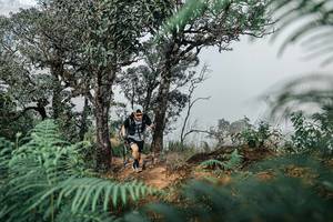 BIB: 
                            <button type="button" onclick="openModal(25326318)" class="btn btn-primary btn-sm float-right btn-popup" data-toggle="modal" data-target=".modal-high-quality">
                        <i class="fas fa-shopping-cart"></i> Add to Cart
                    </button>
                                            <button type="button" onclick="isThisMe(25326318, true)" class="btn btn-success btn-sm float-right btn-popup btn-isme hidden" data-toggle="tooltip" data-placement="bottom" title="นี่คือรูปของคุณใช่ไหม คลิกที่นี่เพื่อเอาเข้าอัลบั้ม">
                        <i class="fas fa-plus"></i> Add to album
                    </button>
                    <button type="button" onclick="isThisMe(25326318, false)" class="btn btn-warning btn-sm float-right btn-popup btn-isnotme hidden">
                        <i class="fas fa-ban"></i> Remove from album
                    </button>