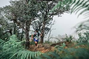 BIB: 
                            <button type="button" onclick="openModal(25326501)" class="btn btn-primary btn-sm float-right btn-popup" data-toggle="modal" data-target=".modal-high-quality">
                        <i class="fas fa-shopping-cart"></i> Add to Cart
                    </button>
                                            <button type="button" onclick="isThisMe(25326501, true)" class="btn btn-success btn-sm float-right btn-popup btn-isme hidden" data-toggle="tooltip" data-placement="bottom" title="นี่คือรูปของคุณใช่ไหม คลิกที่นี่เพื่อเอาเข้าอัลบั้ม">
                        <i class="fas fa-plus"></i> Add to album
                    </button>
                    <button type="button" onclick="isThisMe(25326501, false)" class="btn btn-warning btn-sm float-right btn-popup btn-isnotme hidden">
                        <i class="fas fa-ban"></i> Remove from album
                    </button>