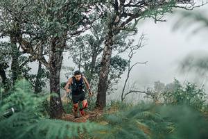 BIB: 
                            <button type="button" onclick="openModal(25326679)" class="btn btn-primary btn-sm float-right btn-popup" data-toggle="modal" data-target=".modal-high-quality">
                        <i class="fas fa-shopping-cart"></i> Add to Cart
                    </button>
                                            <button type="button" onclick="isThisMe(25326679, true)" class="btn btn-success btn-sm float-right btn-popup btn-isme hidden" data-toggle="tooltip" data-placement="bottom" title="นี่คือรูปของคุณใช่ไหม คลิกที่นี่เพื่อเอาเข้าอัลบั้ม">
                        <i class="fas fa-plus"></i> Add to album
                    </button>
                    <button type="button" onclick="isThisMe(25326679, false)" class="btn btn-warning btn-sm float-right btn-popup btn-isnotme hidden">
                        <i class="fas fa-ban"></i> Remove from album
                    </button>