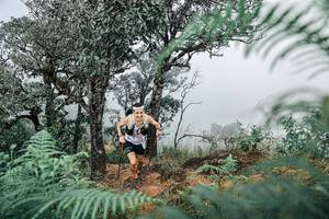 BIB: 
                            <button type="button" onclick="openModal(25326582)" class="btn btn-primary btn-sm float-right btn-popup" data-toggle="modal" data-target=".modal-high-quality">
                        <i class="fas fa-shopping-cart"></i> Add to Cart
                    </button>
                                            <button type="button" onclick="isThisMe(25326582, true)" class="btn btn-success btn-sm float-right btn-popup btn-isme hidden" data-toggle="tooltip" data-placement="bottom" title="นี่คือรูปของคุณใช่ไหม คลิกที่นี่เพื่อเอาเข้าอัลบั้ม">
                        <i class="fas fa-plus"></i> Add to album
                    </button>
                    <button type="button" onclick="isThisMe(25326582, false)" class="btn btn-warning btn-sm float-right btn-popup btn-isnotme hidden">
                        <i class="fas fa-ban"></i> Remove from album
                    </button>