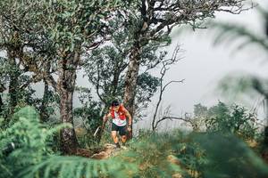 BIB: 
                            <button type="button" onclick="openModal(25326634)" class="btn btn-primary btn-sm float-right btn-popup" data-toggle="modal" data-target=".modal-high-quality">
                        <i class="fas fa-shopping-cart"></i> Add to Cart
                    </button>
                                            <button type="button" onclick="isThisMe(25326634, true)" class="btn btn-success btn-sm float-right btn-popup btn-isme hidden" data-toggle="tooltip" data-placement="bottom" title="นี่คือรูปของคุณใช่ไหม คลิกที่นี่เพื่อเอาเข้าอัลบั้ม">
                        <i class="fas fa-plus"></i> Add to album
                    </button>
                    <button type="button" onclick="isThisMe(25326634, false)" class="btn btn-warning btn-sm float-right btn-popup btn-isnotme hidden">
                        <i class="fas fa-ban"></i> Remove from album
                    </button>