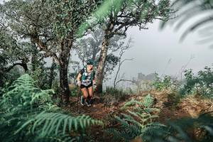 BIB: 
                            <button type="button" onclick="openModal(25328043)" class="btn btn-primary btn-sm float-right btn-popup" data-toggle="modal" data-target=".modal-high-quality">
                        <i class="fas fa-shopping-cart"></i> Add to Cart
                    </button>
                                            <button type="button" onclick="isThisMe(25328043, true)" class="btn btn-success btn-sm float-right btn-popup btn-isme hidden" data-toggle="tooltip" data-placement="bottom" title="นี่คือรูปของคุณใช่ไหม คลิกที่นี่เพื่อเอาเข้าอัลบั้ม">
                        <i class="fas fa-plus"></i> Add to album
                    </button>
                    <button type="button" onclick="isThisMe(25328043, false)" class="btn btn-warning btn-sm float-right btn-popup btn-isnotme hidden">
                        <i class="fas fa-ban"></i> Remove from album
                    </button>