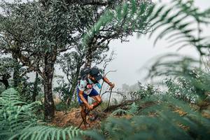 BIB: 
                            <button type="button" onclick="openModal(25326517)" class="btn btn-primary btn-sm float-right btn-popup" data-toggle="modal" data-target=".modal-high-quality">
                        <i class="fas fa-shopping-cart"></i> Add to Cart
                    </button>
                                            <button type="button" onclick="isThisMe(25326517, true)" class="btn btn-success btn-sm float-right btn-popup btn-isme hidden" data-toggle="tooltip" data-placement="bottom" title="นี่คือรูปของคุณใช่ไหม คลิกที่นี่เพื่อเอาเข้าอัลบั้ม">
                        <i class="fas fa-plus"></i> Add to album
                    </button>
                    <button type="button" onclick="isThisMe(25326517, false)" class="btn btn-warning btn-sm float-right btn-popup btn-isnotme hidden">
                        <i class="fas fa-ban"></i> Remove from album
                    </button>