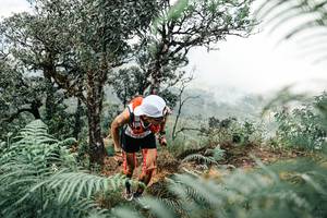 BIB: 
                            <button type="button" onclick="openModal(25326134)" class="btn btn-primary btn-sm float-right btn-popup" data-toggle="modal" data-target=".modal-high-quality">
                        <i class="fas fa-shopping-cart"></i> Add to Cart
                    </button>
                                            <button type="button" onclick="isThisMe(25326134, true)" class="btn btn-success btn-sm float-right btn-popup btn-isme hidden" data-toggle="tooltip" data-placement="bottom" title="นี่คือรูปของคุณใช่ไหม คลิกที่นี่เพื่อเอาเข้าอัลบั้ม">
                        <i class="fas fa-plus"></i> Add to album
                    </button>
                    <button type="button" onclick="isThisMe(25326134, false)" class="btn btn-warning btn-sm float-right btn-popup btn-isnotme hidden">
                        <i class="fas fa-ban"></i> Remove from album
                    </button>