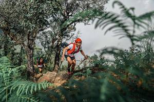 BIB: 
                            <button type="button" onclick="openModal(25326275)" class="btn btn-primary btn-sm float-right btn-popup" data-toggle="modal" data-target=".modal-high-quality">
                        <i class="fas fa-shopping-cart"></i> Add to Cart
                    </button>
                                            <button type="button" onclick="isThisMe(25326275, true)" class="btn btn-success btn-sm float-right btn-popup btn-isme hidden" data-toggle="tooltip" data-placement="bottom" title="นี่คือรูปของคุณใช่ไหม คลิกที่นี่เพื่อเอาเข้าอัลบั้ม">
                        <i class="fas fa-plus"></i> Add to album
                    </button>
                    <button type="button" onclick="isThisMe(25326275, false)" class="btn btn-warning btn-sm float-right btn-popup btn-isnotme hidden">
                        <i class="fas fa-ban"></i> Remove from album
                    </button>