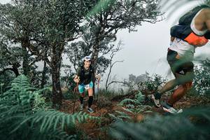 BIB: 
                            <button type="button" onclick="openModal(25328204)" class="btn btn-primary btn-sm float-right btn-popup" data-toggle="modal" data-target=".modal-high-quality">
                        <i class="fas fa-shopping-cart"></i> Add to Cart
                    </button>
                                            <button type="button" onclick="isThisMe(25328204, true)" class="btn btn-success btn-sm float-right btn-popup btn-isme hidden" data-toggle="tooltip" data-placement="bottom" title="นี่คือรูปของคุณใช่ไหม คลิกที่นี่เพื่อเอาเข้าอัลบั้ม">
                        <i class="fas fa-plus"></i> Add to album
                    </button>
                    <button type="button" onclick="isThisMe(25328204, false)" class="btn btn-warning btn-sm float-right btn-popup btn-isnotme hidden">
                        <i class="fas fa-ban"></i> Remove from album
                    </button>