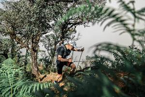 BIB: 
                            <button type="button" onclick="openModal(25326195)" class="btn btn-primary btn-sm float-right btn-popup" data-toggle="modal" data-target=".modal-high-quality">
                        <i class="fas fa-shopping-cart"></i> Add to Cart
                    </button>
                                            <button type="button" onclick="isThisMe(25326195, true)" class="btn btn-success btn-sm float-right btn-popup btn-isme hidden" data-toggle="tooltip" data-placement="bottom" title="นี่คือรูปของคุณใช่ไหม คลิกที่นี่เพื่อเอาเข้าอัลบั้ม">
                        <i class="fas fa-plus"></i> Add to album
                    </button>
                    <button type="button" onclick="isThisMe(25326195, false)" class="btn btn-warning btn-sm float-right btn-popup btn-isnotme hidden">
                        <i class="fas fa-ban"></i> Remove from album
                    </button>