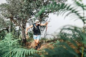 BIB: 
                            <button type="button" onclick="openModal(25326456)" class="btn btn-primary btn-sm float-right btn-popup" data-toggle="modal" data-target=".modal-high-quality">
                        <i class="fas fa-shopping-cart"></i> Add to Cart
                    </button>
                                            <button type="button" onclick="isThisMe(25326456, true)" class="btn btn-success btn-sm float-right btn-popup btn-isme hidden" data-toggle="tooltip" data-placement="bottom" title="นี่คือรูปของคุณใช่ไหม คลิกที่นี่เพื่อเอาเข้าอัลบั้ม">
                        <i class="fas fa-plus"></i> Add to album
                    </button>
                    <button type="button" onclick="isThisMe(25326456, false)" class="btn btn-warning btn-sm float-right btn-popup btn-isnotme hidden">
                        <i class="fas fa-ban"></i> Remove from album
                    </button>