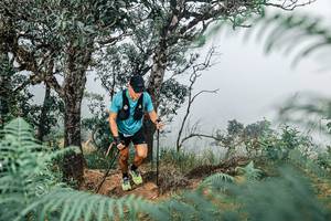 BIB: 
                            <button type="button" onclick="openModal(25326614)" class="btn btn-primary btn-sm float-right btn-popup" data-toggle="modal" data-target=".modal-high-quality">
                        <i class="fas fa-shopping-cart"></i> Add to Cart
                    </button>
                                            <button type="button" onclick="isThisMe(25326614, true)" class="btn btn-success btn-sm float-right btn-popup btn-isme hidden" data-toggle="tooltip" data-placement="bottom" title="นี่คือรูปของคุณใช่ไหม คลิกที่นี่เพื่อเอาเข้าอัลบั้ม">
                        <i class="fas fa-plus"></i> Add to album
                    </button>
                    <button type="button" onclick="isThisMe(25326614, false)" class="btn btn-warning btn-sm float-right btn-popup btn-isnotme hidden">
                        <i class="fas fa-ban"></i> Remove from album
                    </button>